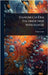 Handbuch Der Technischen Mykologie by Franz Lafar