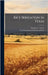 Rice Irrigation in Texas by Taylor, Thomas U.