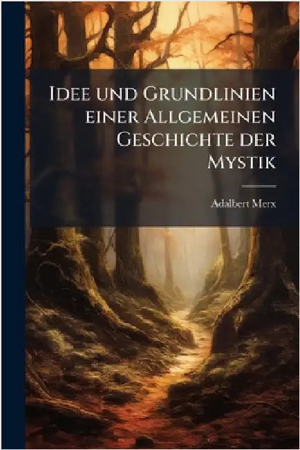 Idee und Grundlinien einer Allgemeinen Geschichte der Mystik by Adalbert Merx