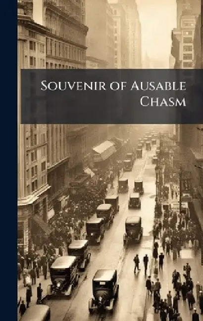 Souvenir of Ausable Chasm