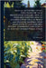 Manual on the Iris, Giving Directions for Their Propagation and Care. How to Raise new Varieties; how to Enlarge a Wide Field of Profit and Pleasure. by Harrison, C. S. 1832-1919
