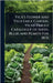 Vick's Flower and Vegetable Garden. Vicks' Priced Catalogue of Seeds, Bulbs and Plants for 1876