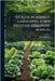 Success in Market-gardening, a new Vegetable Growers' Manual by Rawson, W. W.