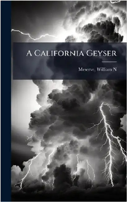 A California Geyser by N, Meserve William