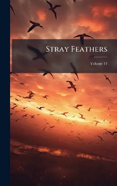 Stray Feathers by Anonymous