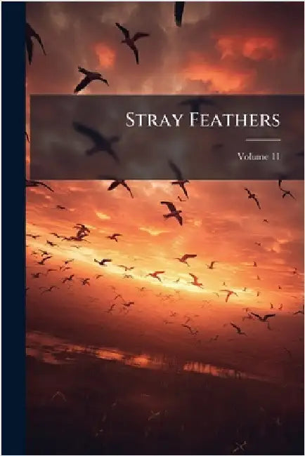 Stray Feathers by Anonymous