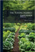 The Young Market Gardener by Greiner, Tuisco