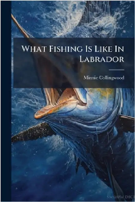 What Fishing Is Like In Labrador by Collingwood, Minnie