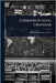 Common School Grammar by Fowler, William Chauncey