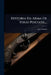 Historia Da Arma De Fogo Portatil... by Luiz Mardel