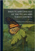 Insects and Diseases of the Pecan and Their Control by Us Department of Agriculture (Usda)