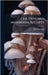 One Hundred Mushroom Receipts by Sargeant, Kate