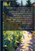 The Orchid-grower's Manual, Containing a Brief Description of Upwards of Two Hundred and Sixty Orchidaceous Plants, Together With Notices of Their Tim by Williams, Benjamin Samuel 1822-1890