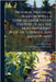 Pictorial Practical Bulb Growing; a Concise Guide to the Culture of All the Most Important Bulbous, Tuberous, and Allied Plants by Wright, Walter Page 1864-1940