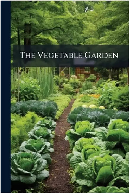 The Vegetable Garden by Anonymous
