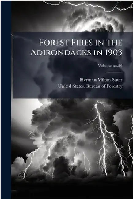 Forest Fires in the Adirondacks in 1903 by Suter, Herman Milton