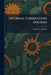 Internal Combustion Engines by Robert L. Streeter