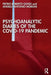 Psychoanalytic Diaries of the COVID-19 Pandemic by Pietro Roberto Goisis