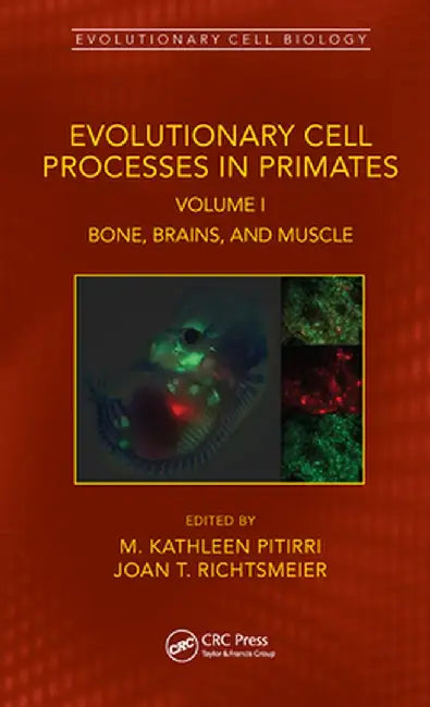 Evolutionary Cell Processes in Primates: Bone, Brains, and Muscle, Volume I by M. Kathleen Pitirri
