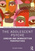 The Adolescent Psyche: Jungian and Winnicottian Perspectives by Richard Frankel