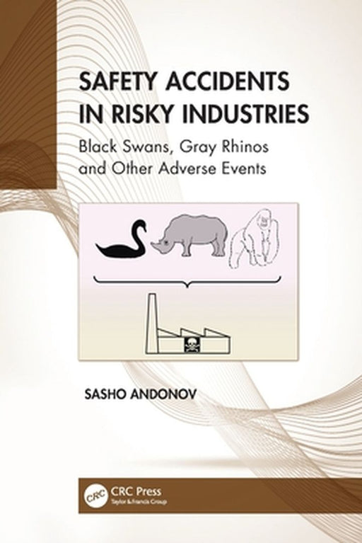 Safety Accidents in Risky Industries: Black Swans Gray Rhinos and Other Adverse Events by Sasho Andonov