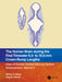 The Human Brain During the First Trimester 6.3- To 10.5-MM Crown-Rump Lengths: Atlas of Human Central Nervous System Development, Volume 2 by Shirley A. Bayer