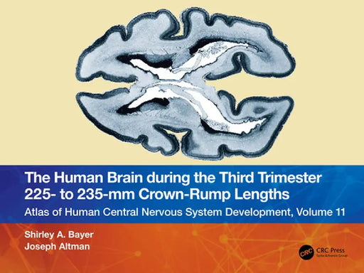 The Human Brain During the Third Trimester 225- To 235-MM Crown-Rump Lengths: Atlas of Central Nervous System Development, Volume 11 by Shirley A. Bayer
