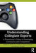 Understanding Collegiate Esports: A Practitioner's Guide to Developing Community and Competition by Jennifer Lee Hoffman