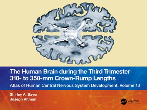 The Human Brain During the Third Trimester 310- To 350-MM Crown-Rump Lengths: Atlas of Central Nervous System Development, Volume 13 by Shirley A. Bayer