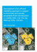 Development of an Efficient Modelling Approach to Support Economically and Socially Acceptable Flood Risk Reduction in Coastal Cities: Can Tho City, M by Hieu Quang Ngo