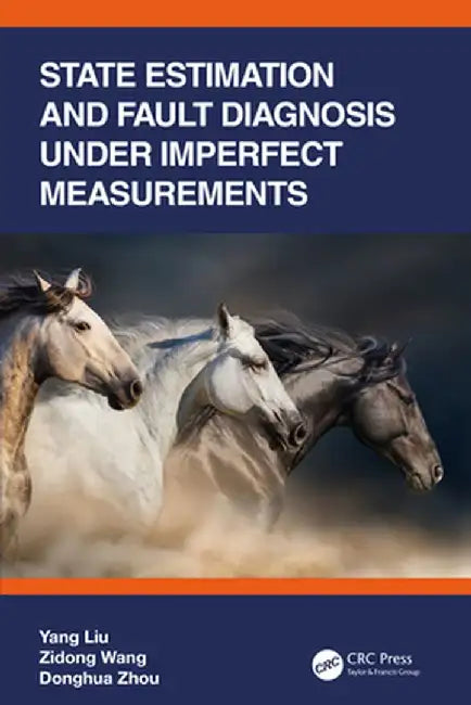 State Estimation and Fault Diagnosis Under Imperfect Measurements by Yang Liu