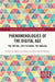Phenomenologies of the Digital Age: The Virtual, the Fictional, the Magical by Marco Cavallaro, Nicolas de Warren