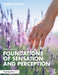 Foundations of Sensation and Perception by George Mather