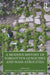 A Modern History of Forgotten Genocides and Mass Atrocities by Bachman, Jeffrey S.