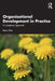 Organisational Development in Practice: A Complexity Approach by Kevin Flinn
