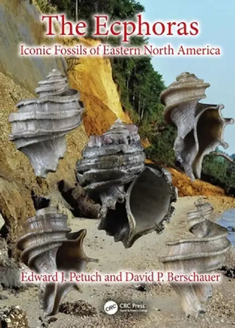 The Ecphoras: Iconic Fossils of Eastern North America by Edward J. Petuch