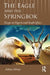 The Eagle and the Springbok: Essays on Nigeria and South Africa by Adekeye Adebajo