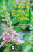 Antiviral Secrets of Medicinal Plants by Deepu Pandita