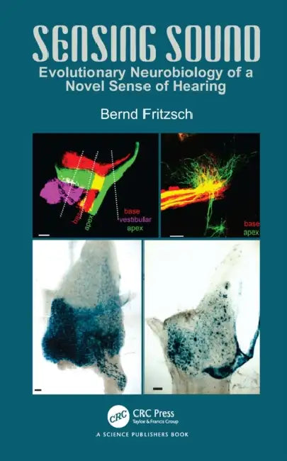 Sensing Sound: Evolutionary Neurobiology of a Novel Sense of Hearing by Bernd Fritzsch