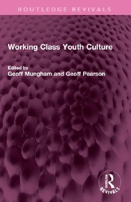 Working Class Youth Culture by Mungham Geoff
