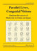 Parallel Lives, Congenial Visions: Christian Precursors of Modernity in China and Japan by Leopold Leeb