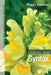 Understanding Syntax by Maggie Tallerman