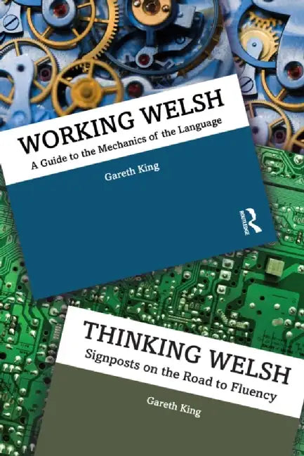 Working/Thinking Welsh by Gareth King