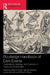 Routledge Handbook of Dark Events: Celebrations, Heritage, and Customs of Death and the Macabre by Brianna Wyatt, Hannah Stewart, James Kennell