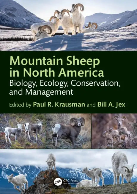 Mountain Sheep in North America: Biology, Ecology, Conservation, and Management by Paul R. Krausman, William Jex