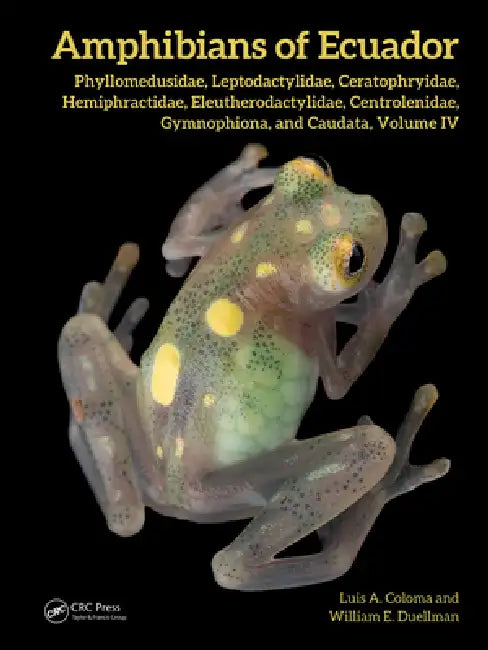 Amphibians of Ecuador: Phyllomedusidae, Leptodactylidae, Ceratophryidae, Hemiphractidae, Eleutherodactylidae, Centrolenidae, Gymnophiona and Caudata, by Luis A. Coloma
