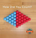 How Did You Count?: Picture Book by Danielson Christopher