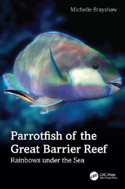 Parrotfish of the Great Barrier Reef: Rainbows Under the Sea by Michelle Brayshaw