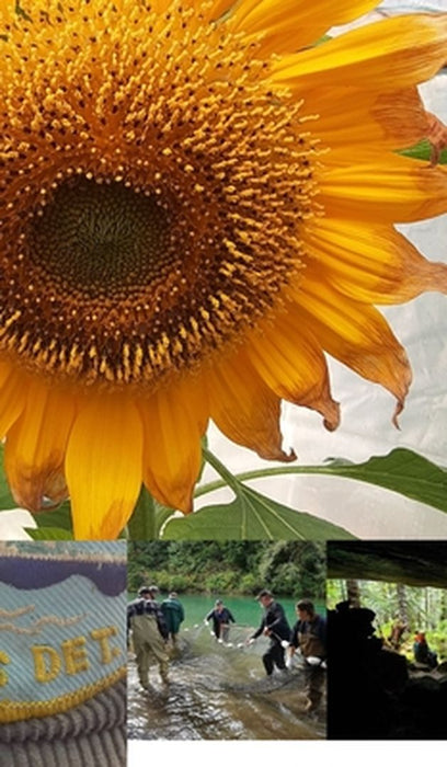 Tahsis Inlet Outlet Revival Anthology 2020 Black and white Edition: Green Antler presents 2020 collected works by Graham Bosecker