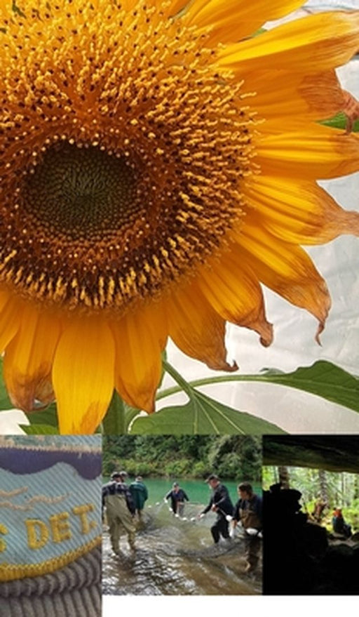 Tahsis Inlet Outlet Revival Anthology 2020 Black and white Edition: Green Antler presents 2020 collected works by Graham Bosecker